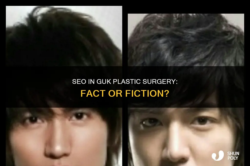 did seo in guk had plastic surgery