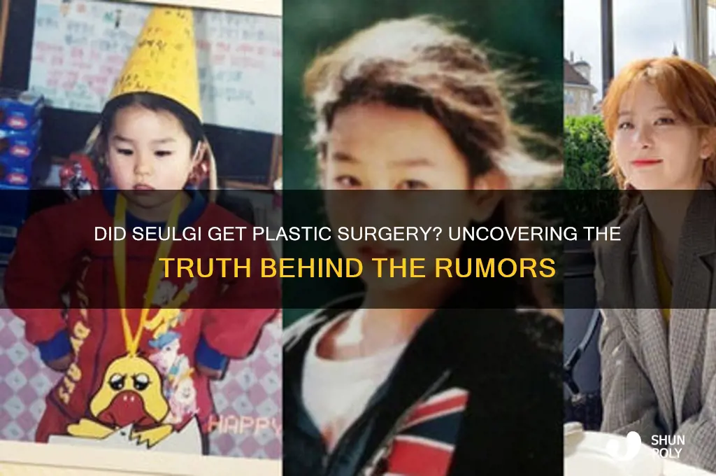 did seulgi get plastic