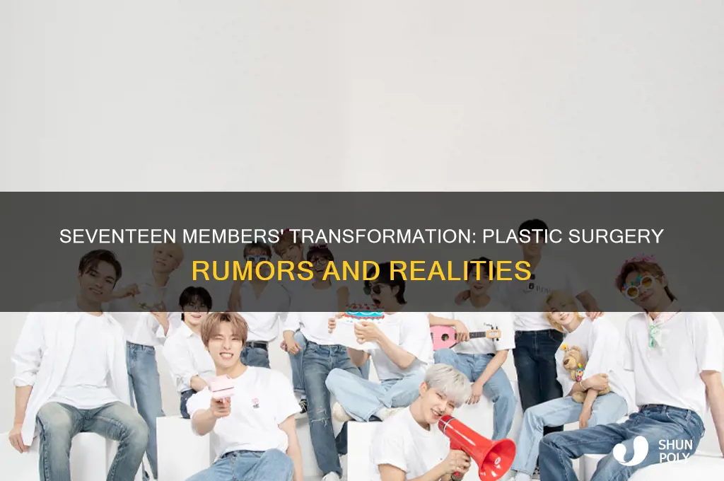 did seventeen get plastic surgery