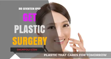 Seventeen K-Pop Members' Plastic Surgery Rumors: Fact or Fiction?