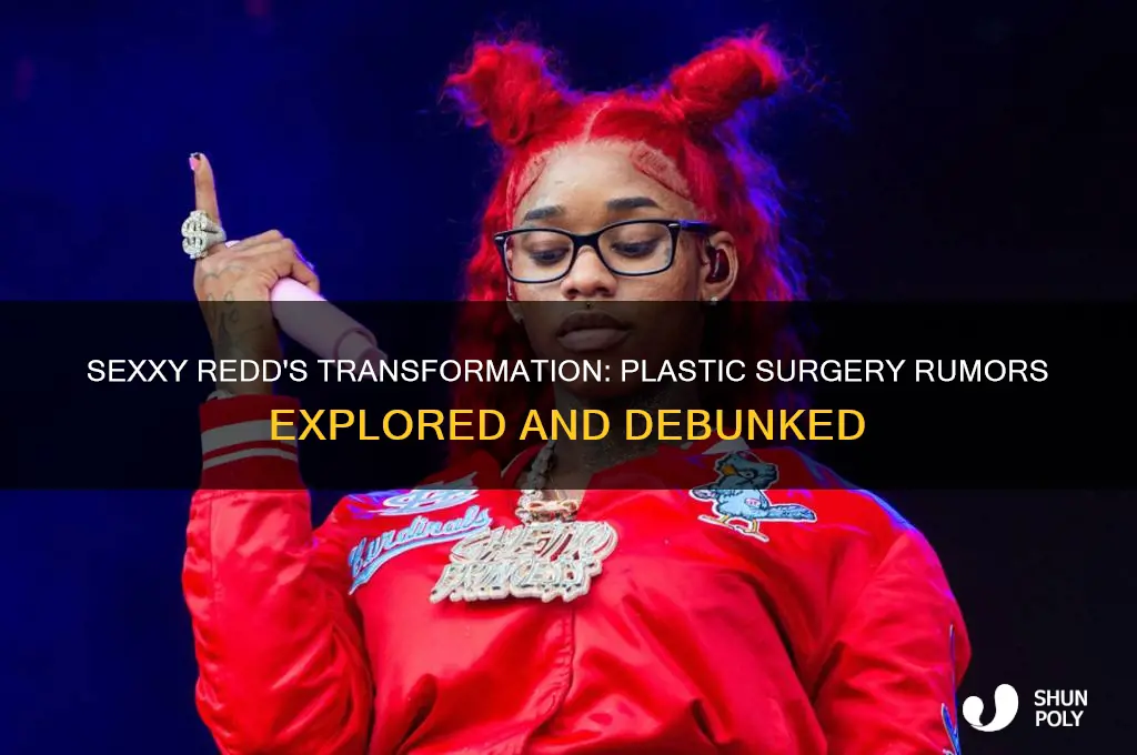 did sexxy redd get plastic surgery