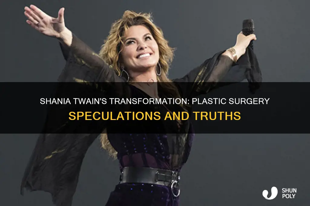 did shania twain have plastic surgery