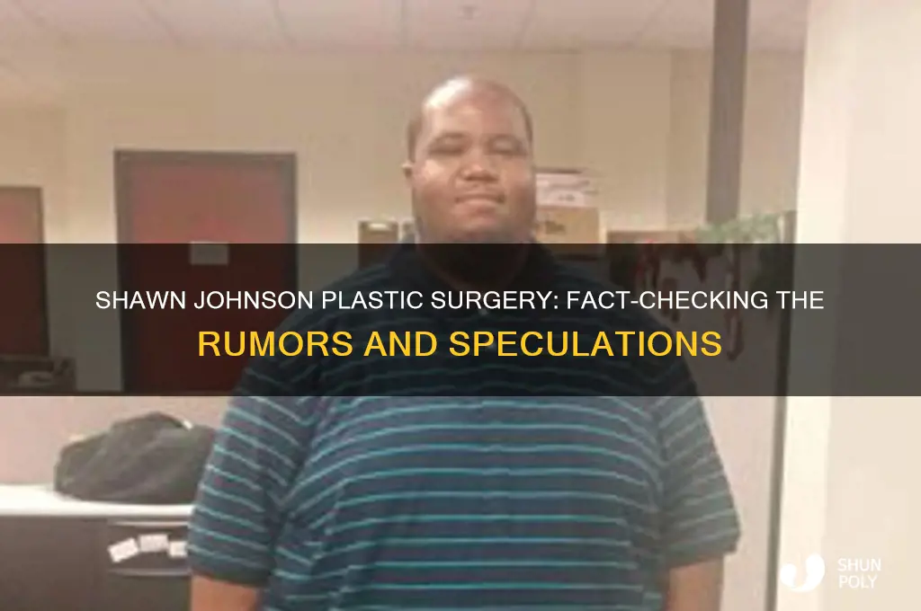 did shawn johnson have plastic surgery