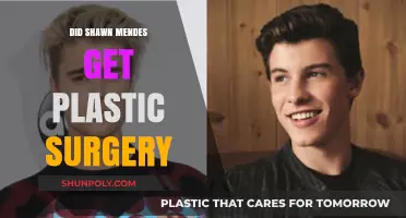 Shawn Mendes Plastic Surgery Rumors: Fact or Fiction?