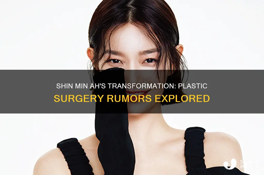did shin min ah get plastic surgery