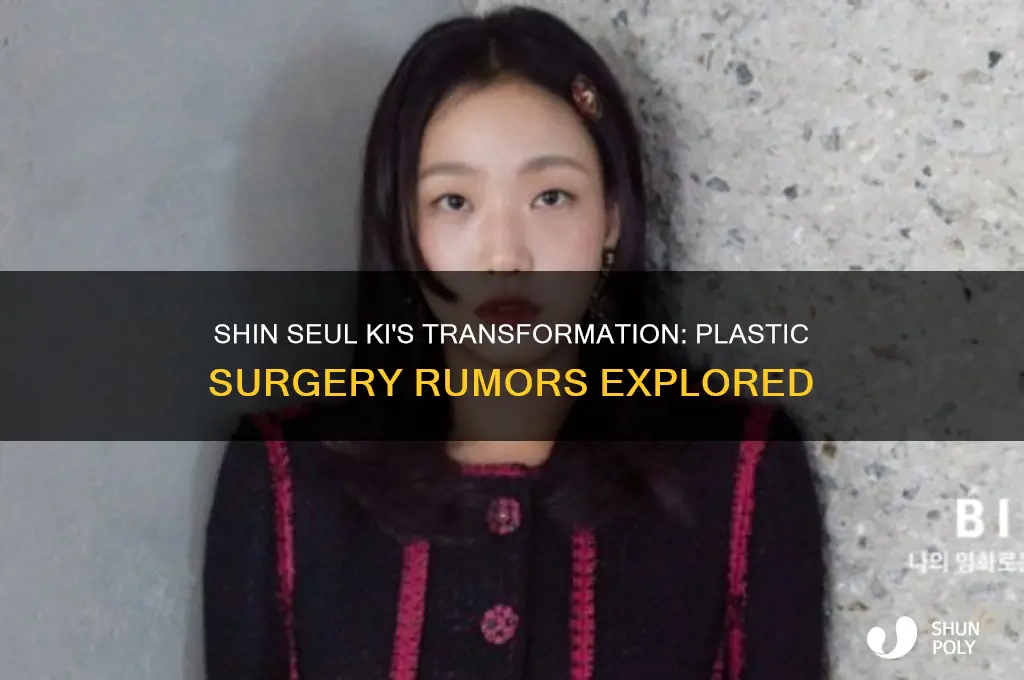 did shin seul ki have plastic surgery