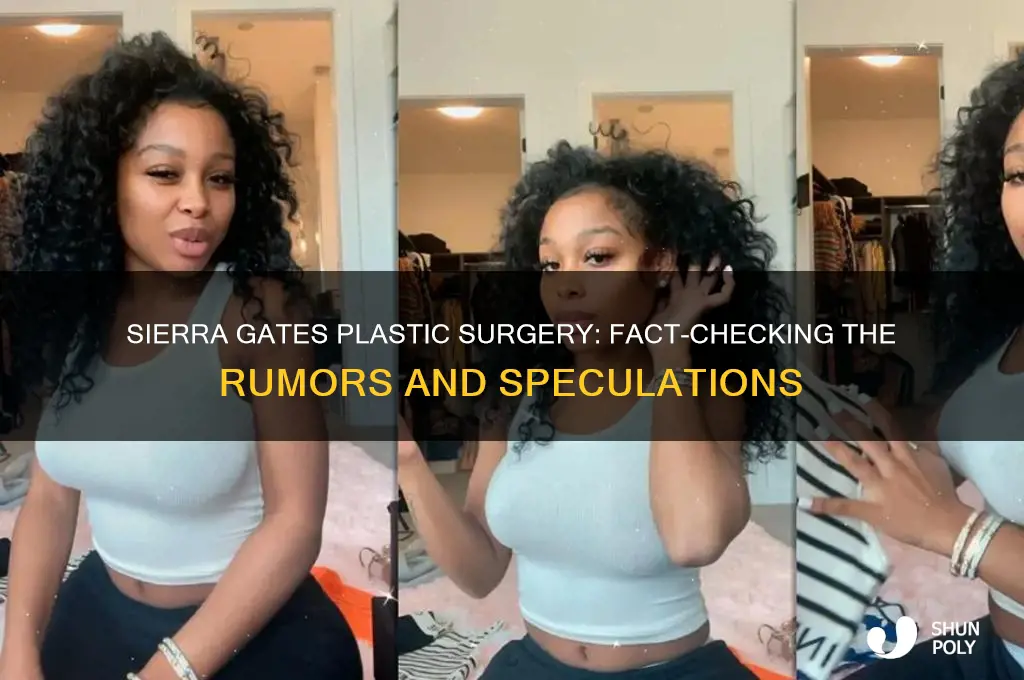 did sierra gates have plastic surgery