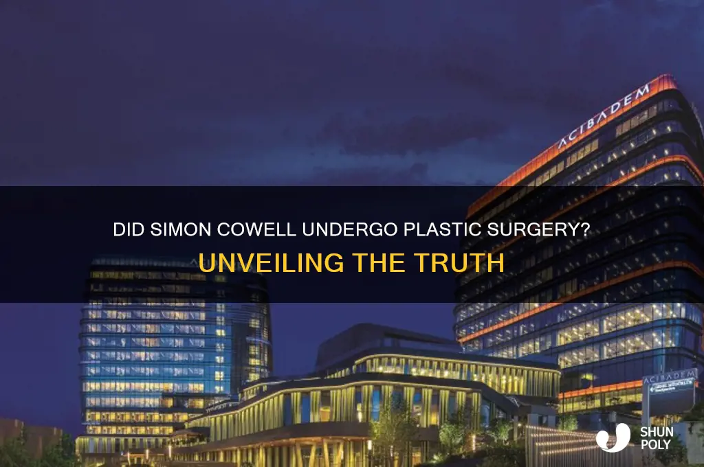 did simon get plastic surgery