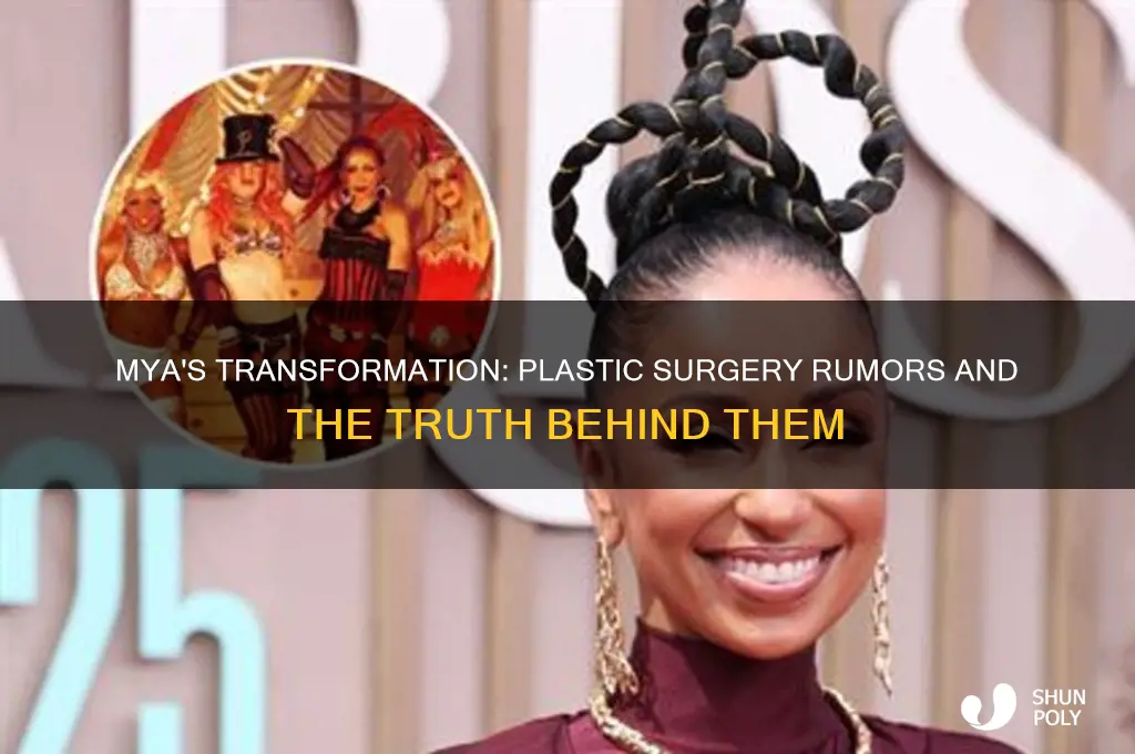 did singer mya have plastic surgery