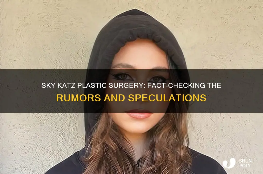 did sky katz get plastic surgery