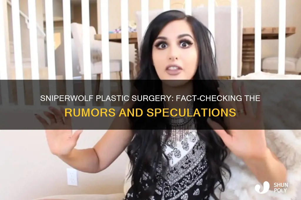 did sniperwolf get plastic surgery