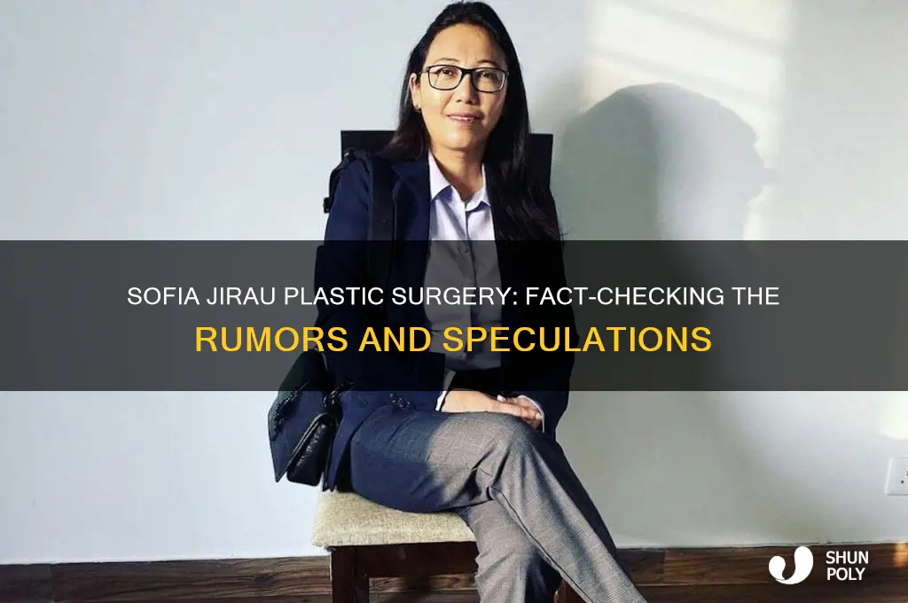 did sofia jirau have plastic surgery