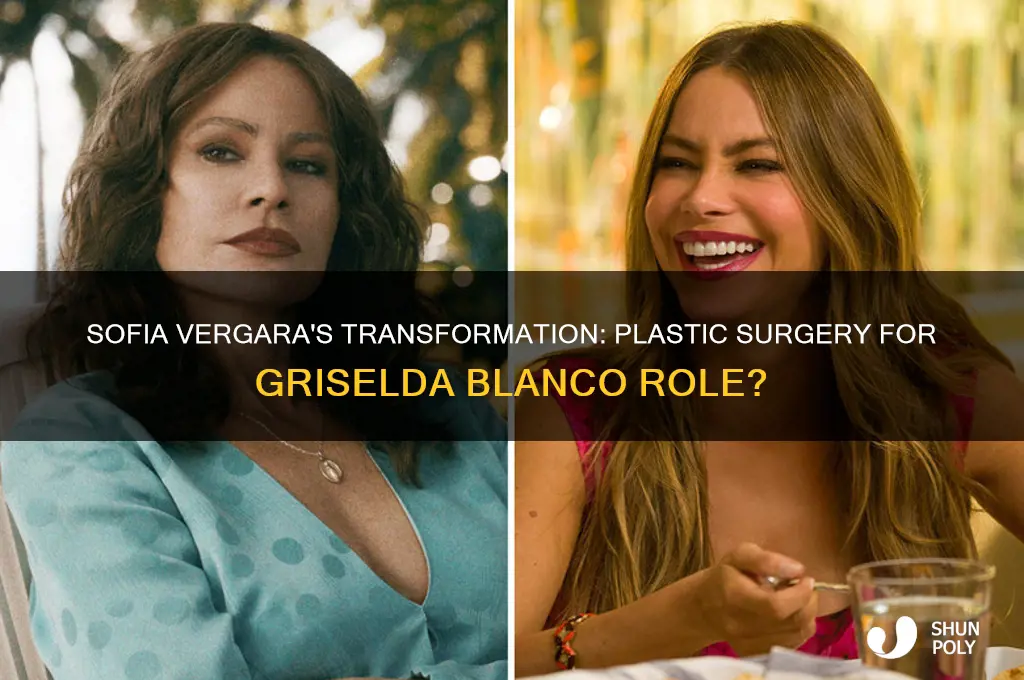 did sofia vergara have plastic surgery for griselda blanco