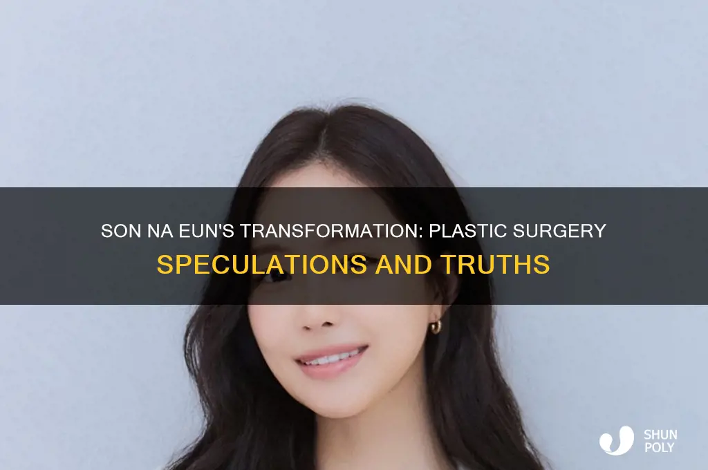 did son na eun get plastic surgery