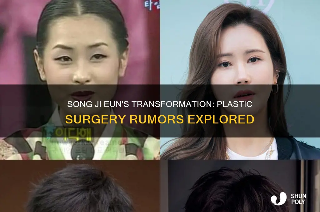 did song ji eun have plastic surgery