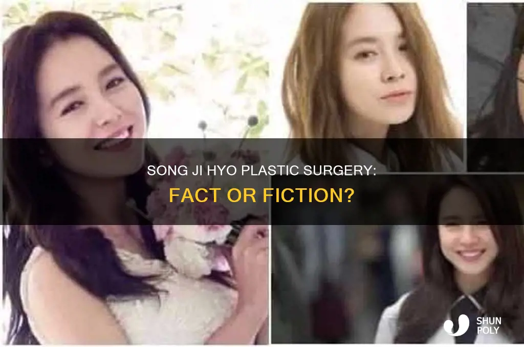 did song ji hyo get plastic surgery