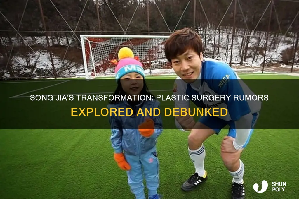 did song jia get plastic surgery