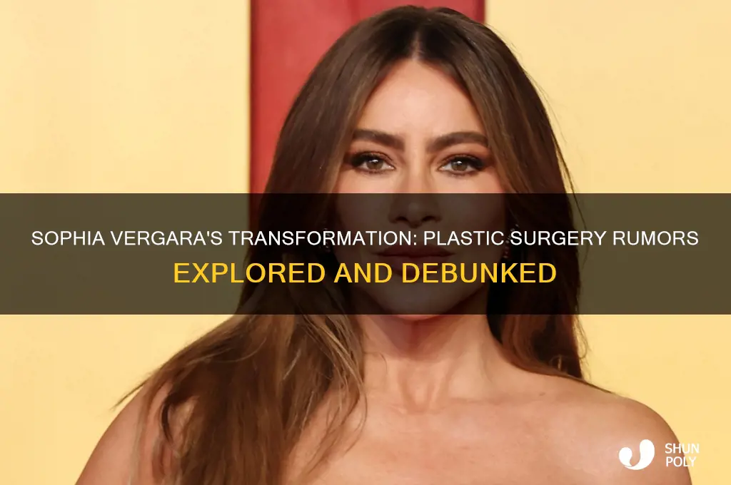 did sophia vergara have plastic surgery