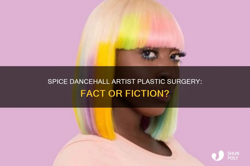 did spice dancehall artist do plastic surgery