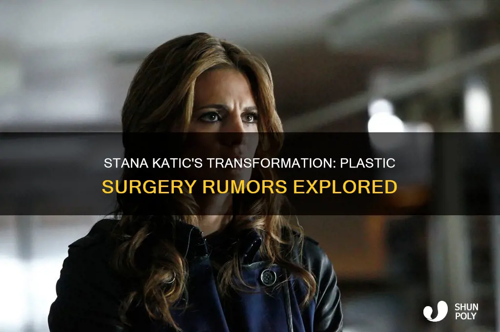 did stana katic have plastic surgery
