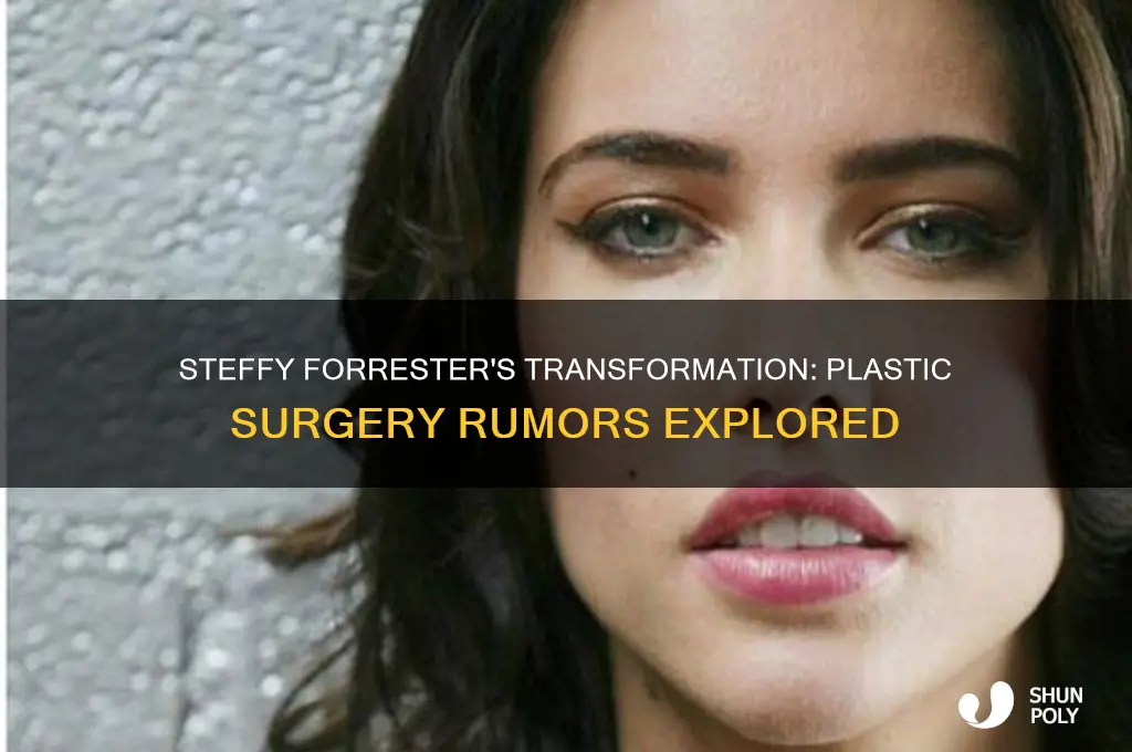 did steffy forrester have plastic surgery