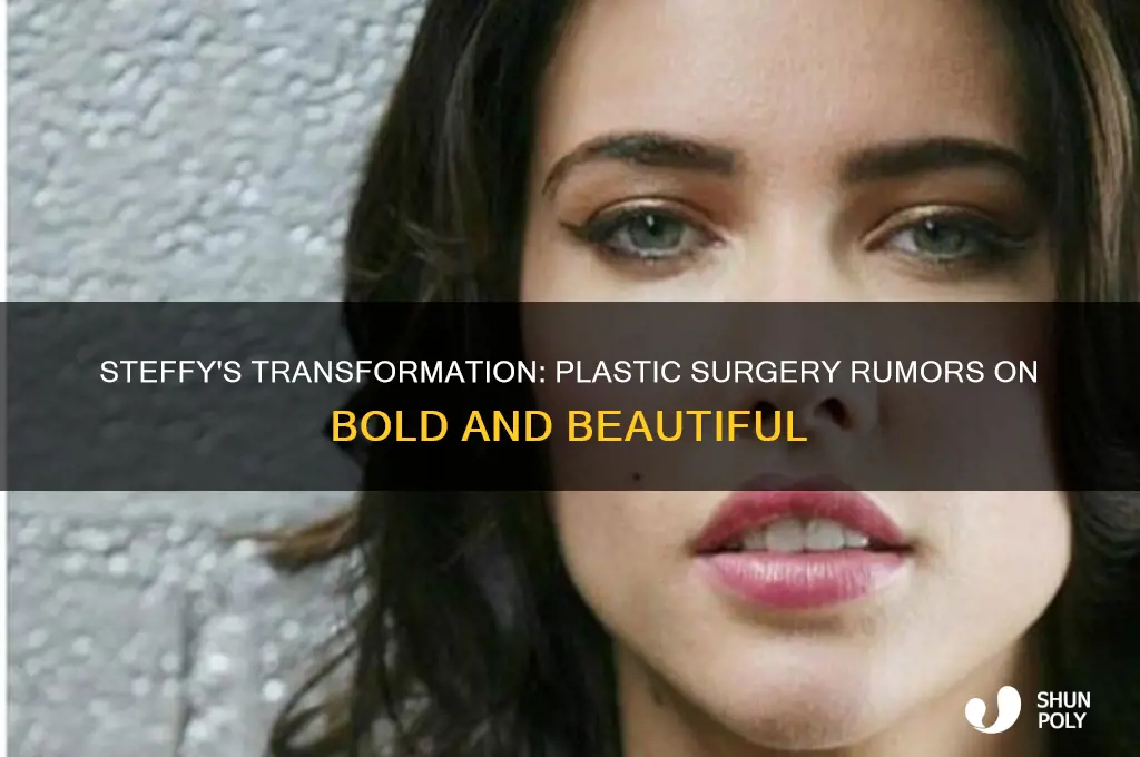 did steffy on bold and beautiful have plastic surgery