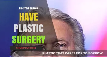 Steve Bannon's Transformation: Plastic Surgery Speculations and Facts Revealed