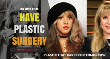 Stevie Nicks Plastic Surgery: Fact-Checking the Rumors and Speculations