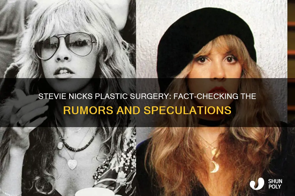did stevie nicks have plastic surgery