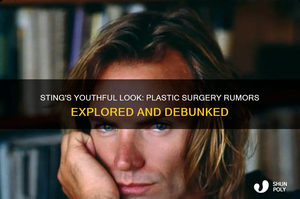 did sting have plastic surgery
