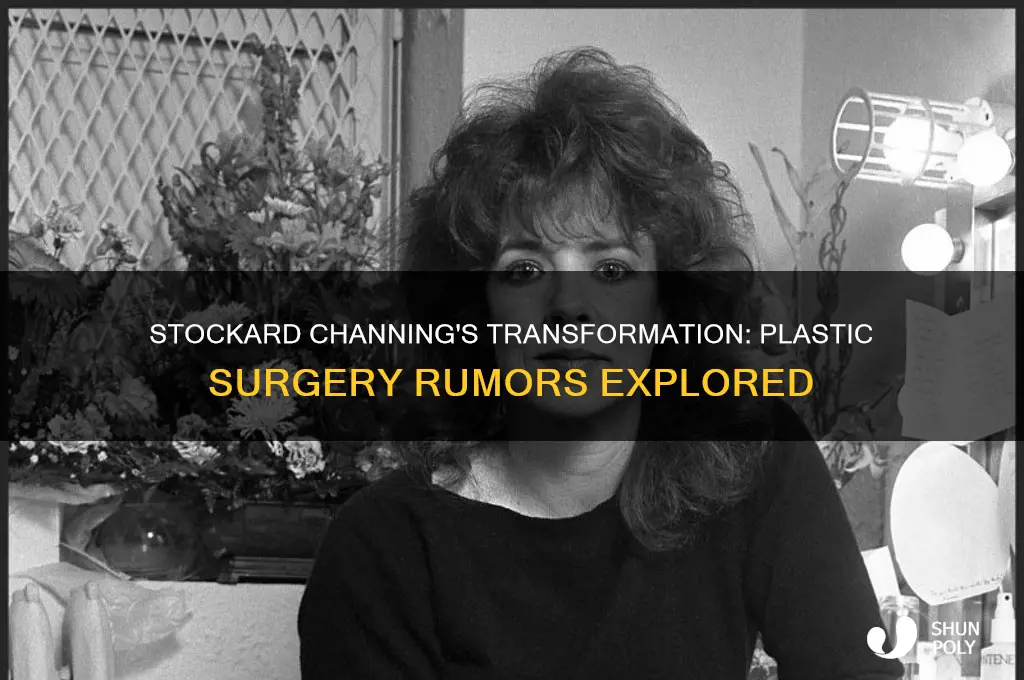 did stockard channing have plastic surgery
