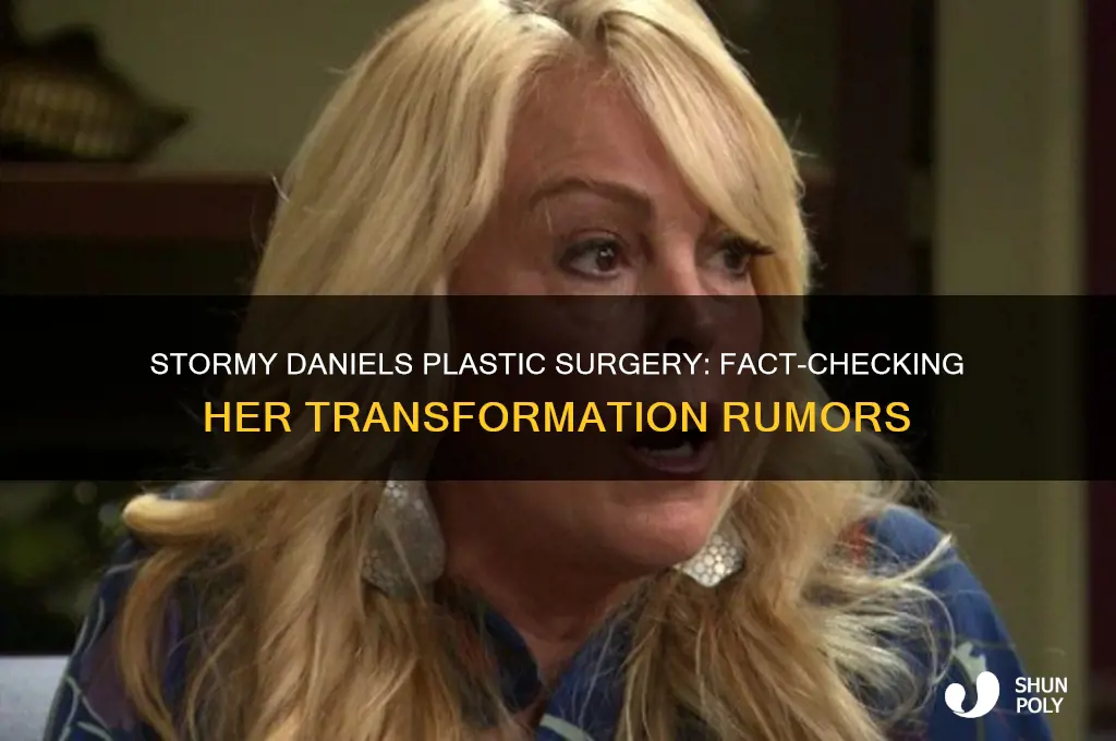 did stormy daniels have plastic surgery