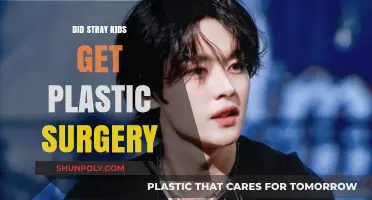 Stray Kids Plastic Surgery Rumors: Fact-Checking the Speculations
