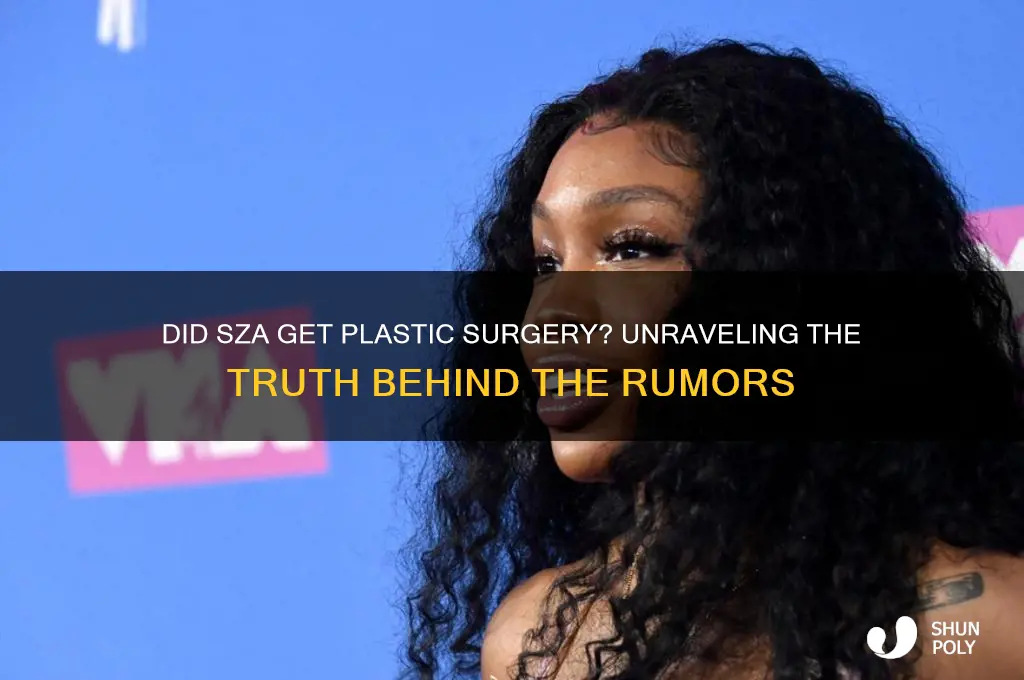 did sza get plastic