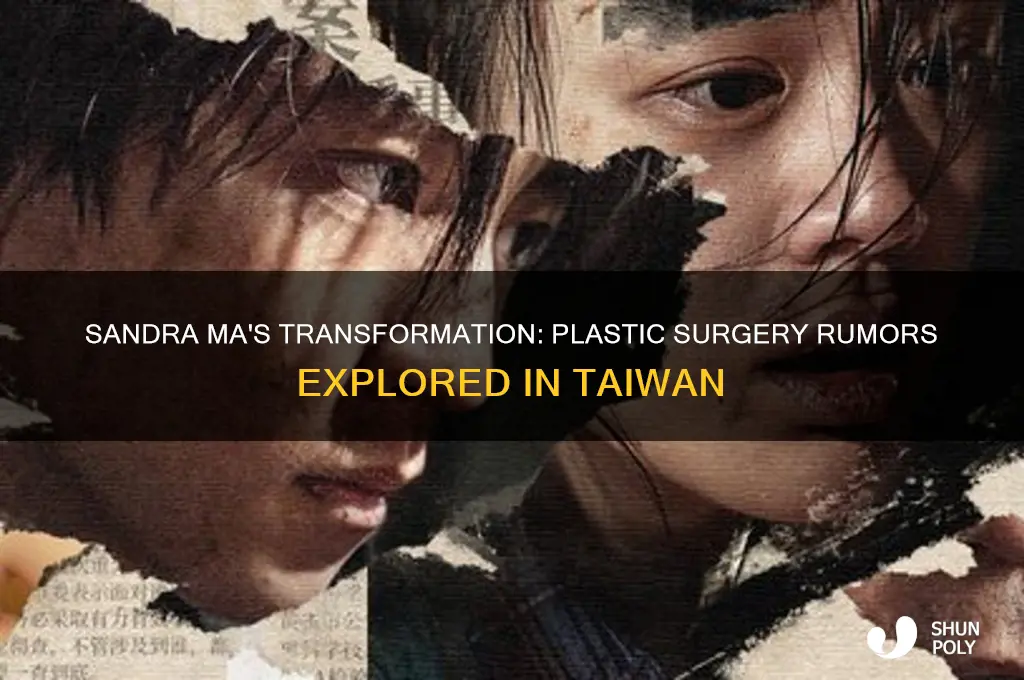did taiwanese actress sandra ma had plastic surgery
