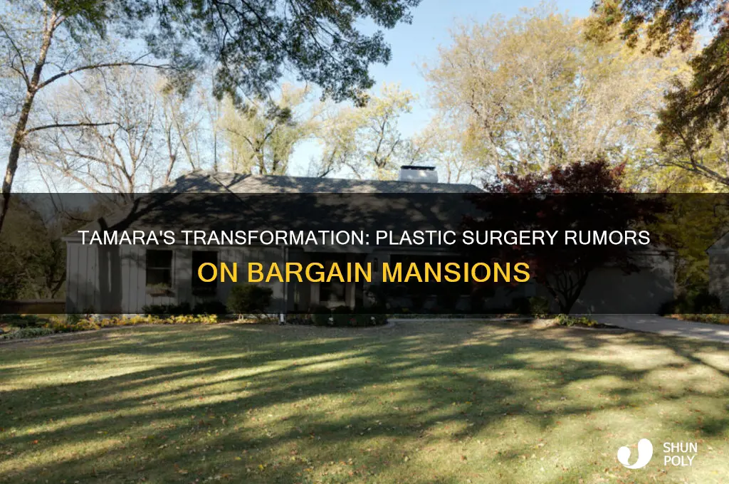 did tamara from bargain mansions have plastic surgery