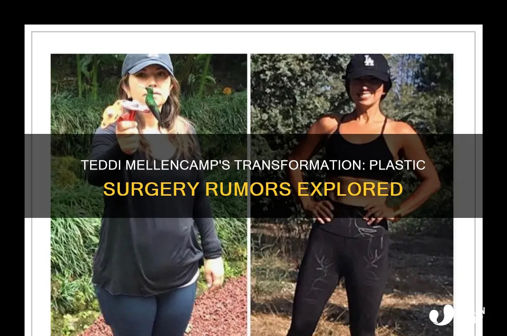 did teddi mellencamp have plastic surgery