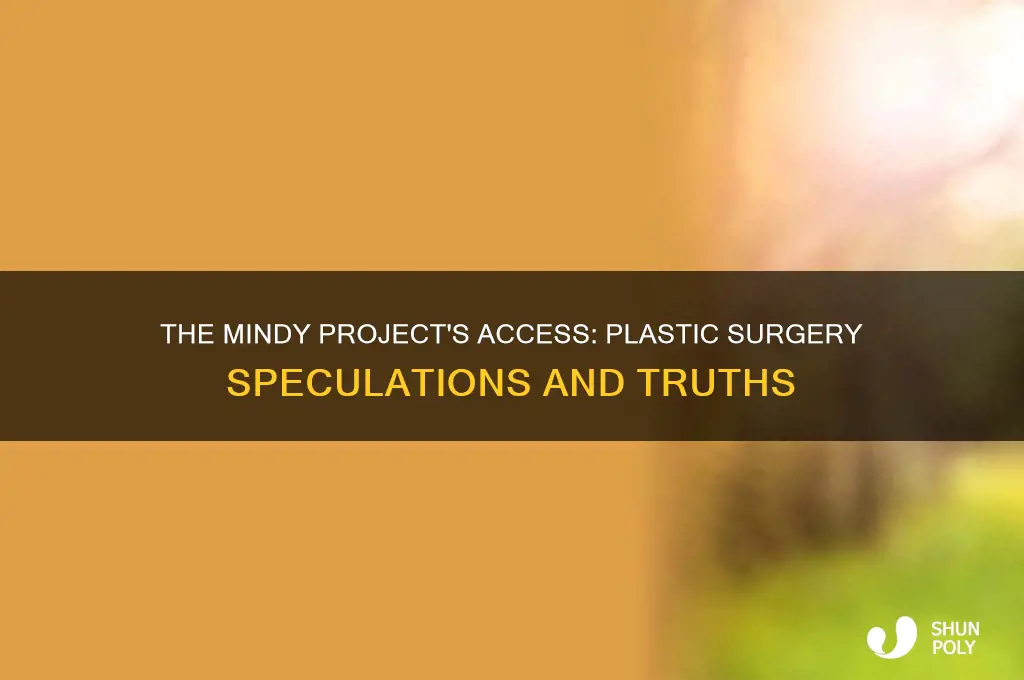 did the access in the mindy project get plastic surgery