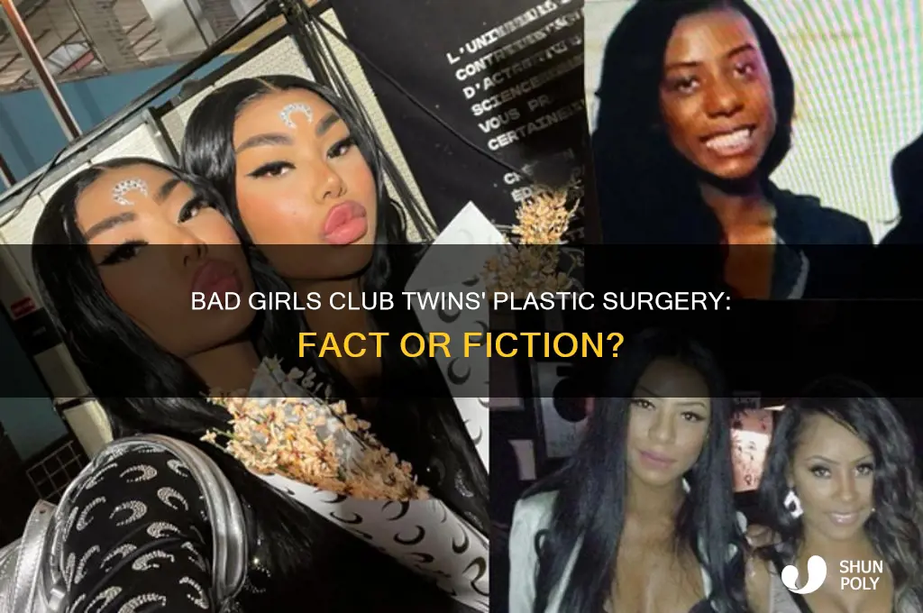 did the bad girls club twins get plastic surgery