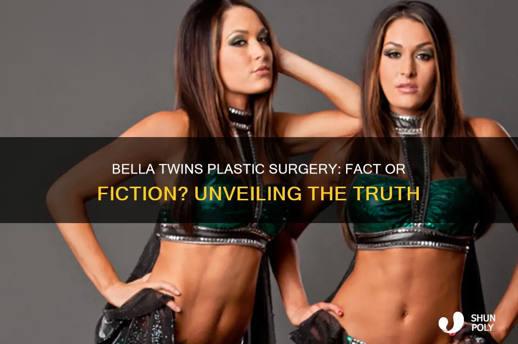 did the bella twins get plastic surgery
