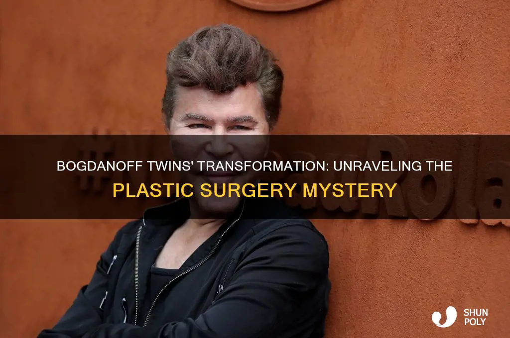 did the bogdanoff twins get plastic surgery