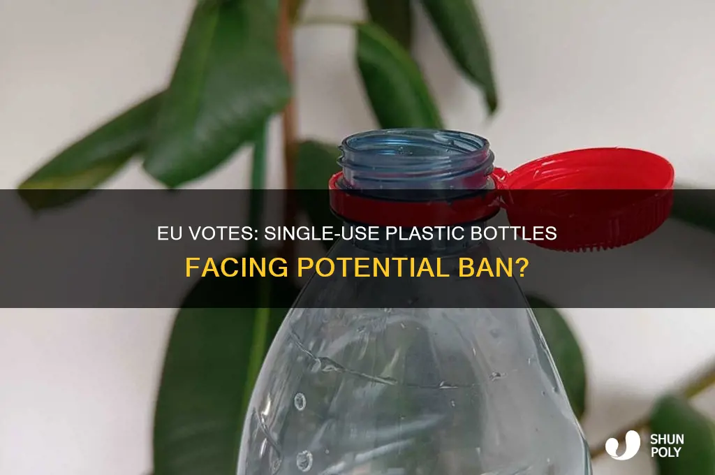 did the eu just vote to ban single plastic bottles