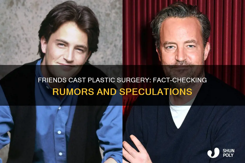 did the friends cast get plastic surgery