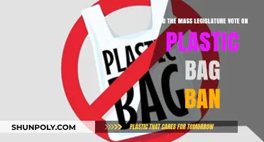 Plastic Bag Ban: Mass. Legislature's Vote