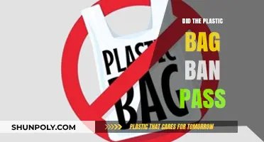 Plastic Bag Ban: Did It Pass?