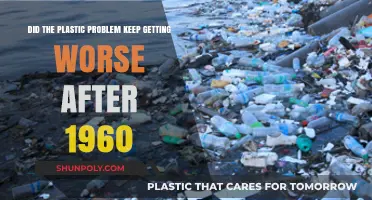 Plastic Crisis: How the Pollution Problem Escalated Post-1960