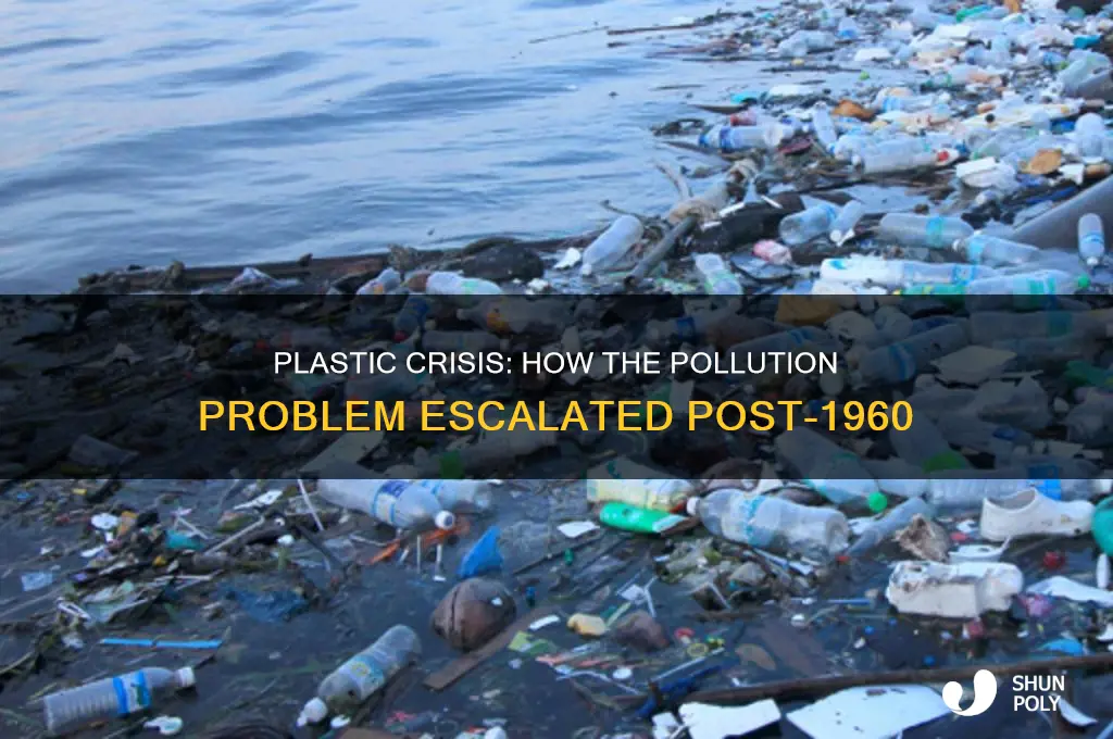 did the plastic problem keep getting worse after 1960