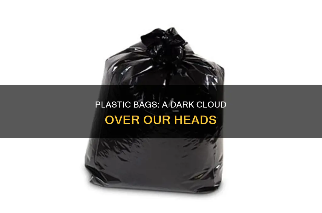 did the plastic shopping bag cast a shadow