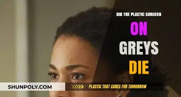 Did Grey's Anatomy's Plastic Surgeon Character Meet a Fatal End?