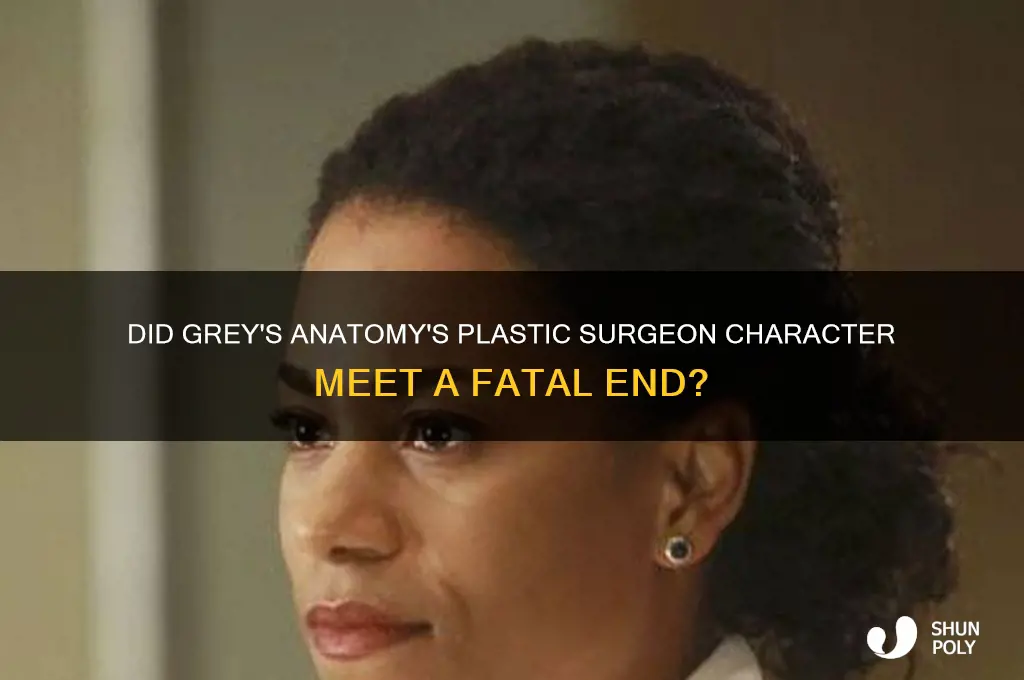did the plastic surgeon on greys die
